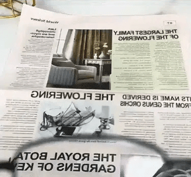 b02f7265a8ec8a6ed2590d67dc0be1fc.gif