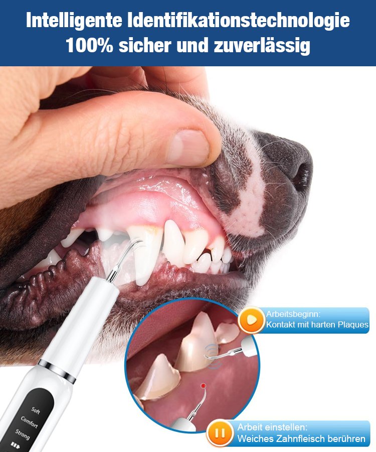 Ultraschall-Zahnreinigungsgerät für Haustiere