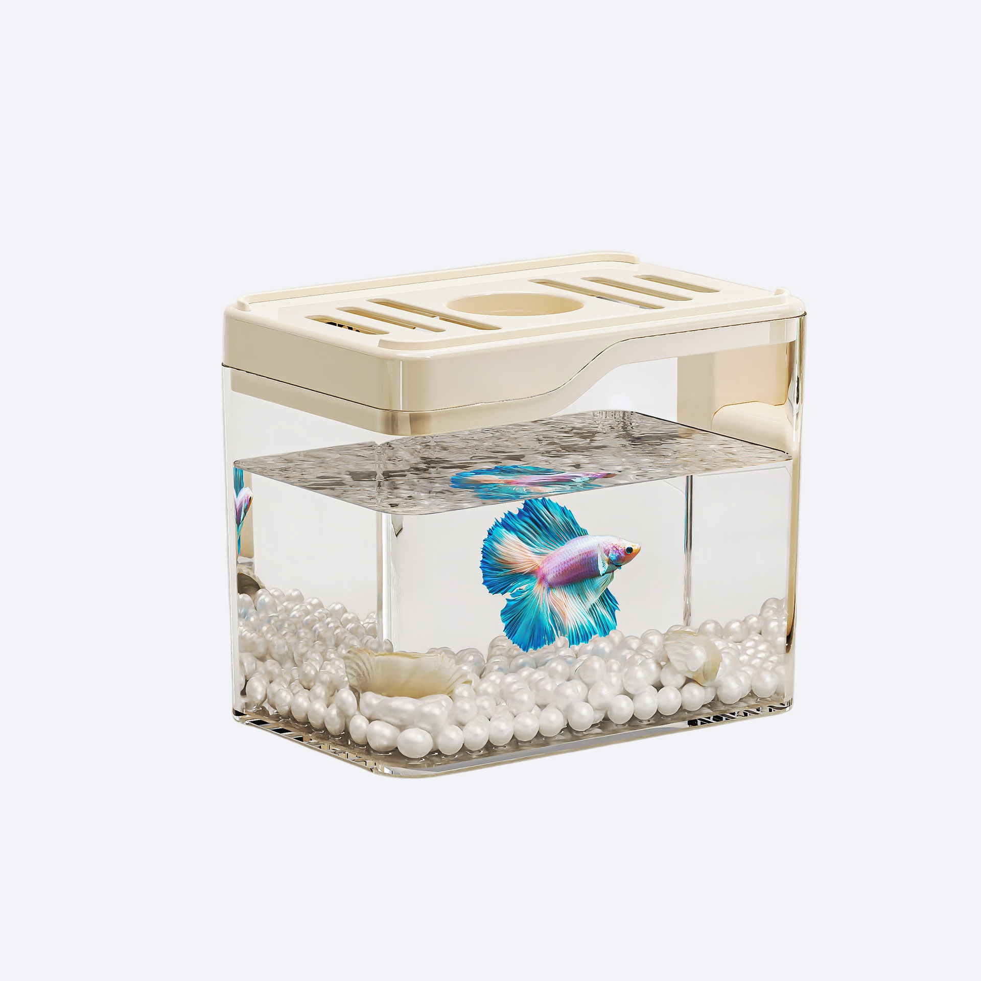 حوض سمك مكتبي