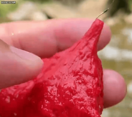 Honeycam 2025-07-17 13-37-04.gif