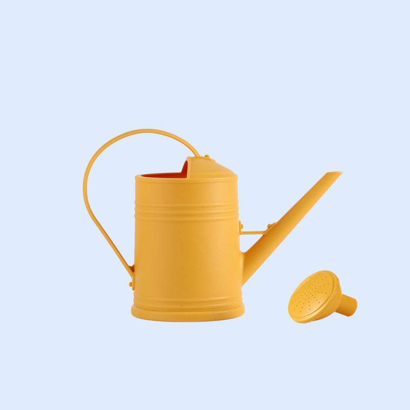 2 (4).png