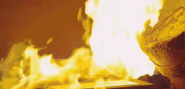 8cfc2f0207abdead1da7e94fb6cc6587 (1).gif