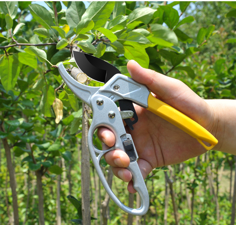 Multifunctional stainless steel pruning shears for gardening