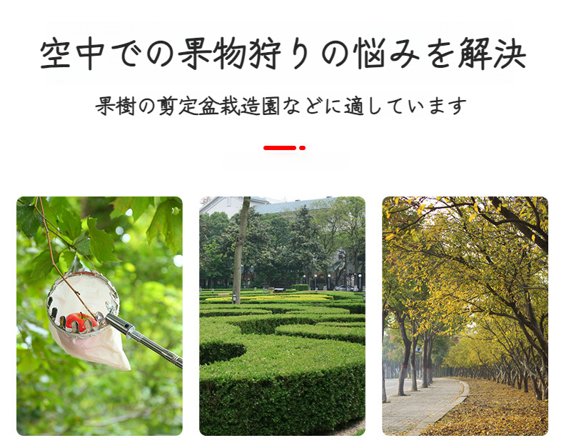 高い枝の果実を簡単に取るピッカー