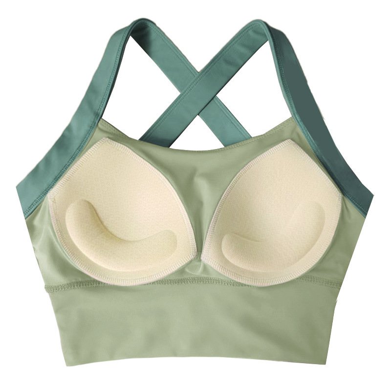 一体型カラーインパクトスポーツ下着