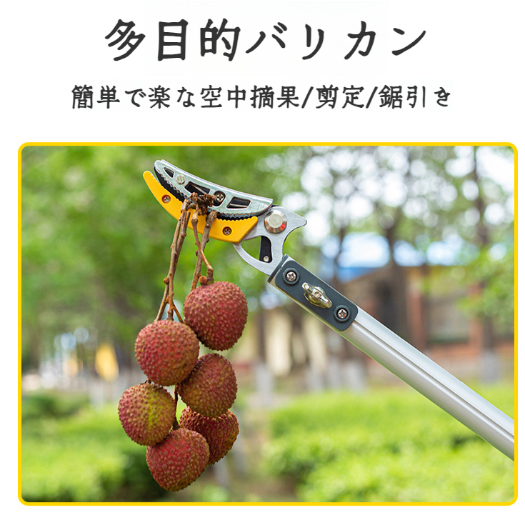 プルーン・フルーツ・ピッカー・シザーズ 空中摘み取り伸縮ポールフルーツ ドラゴンアイライチピッキングツール