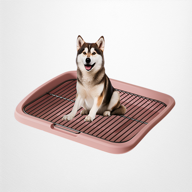 반려동물 청소 변기