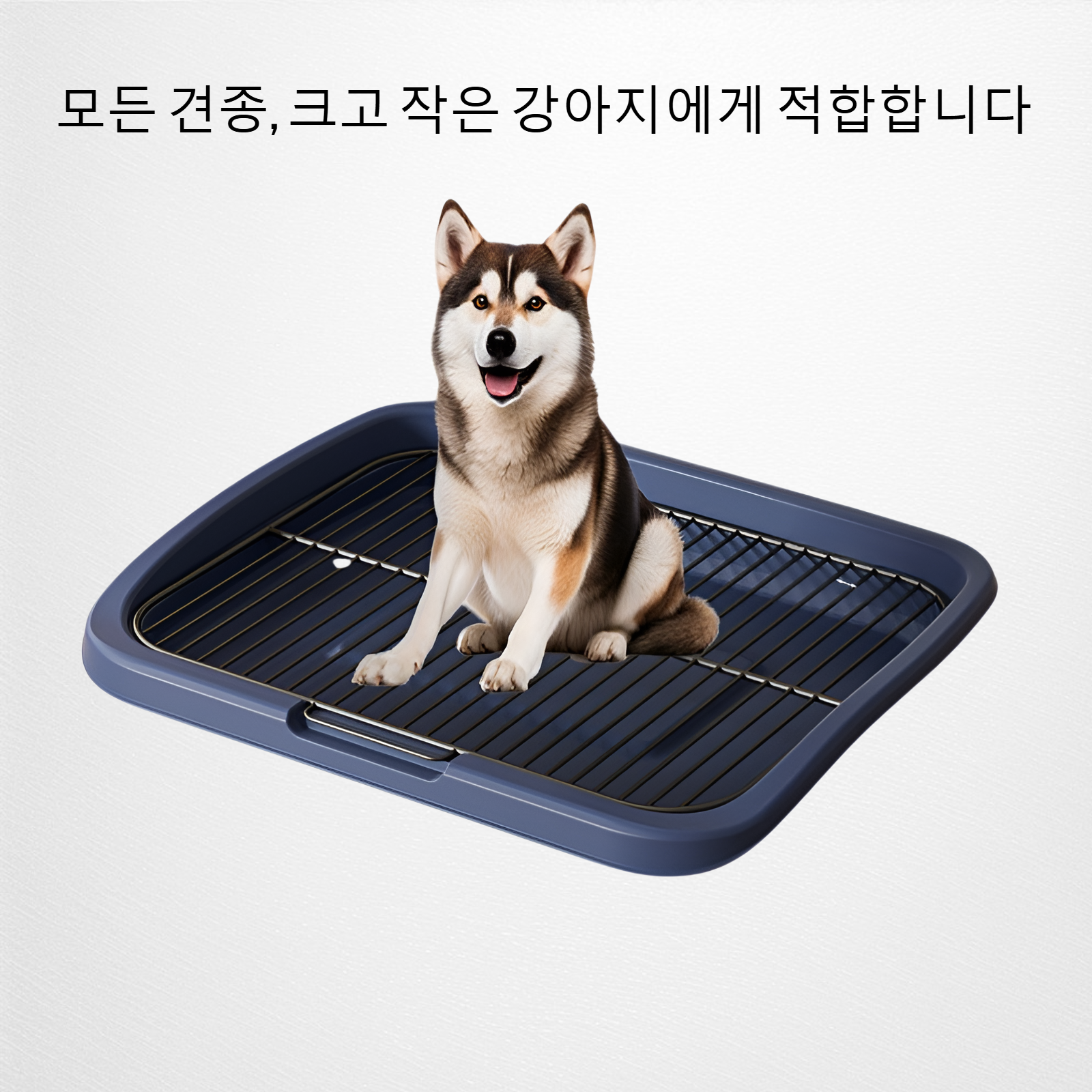 반려동물 청소 변기