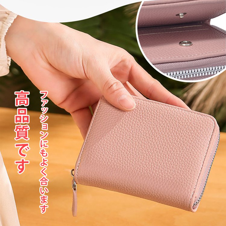 本革アコ一ディオンカ一ドケ一ス