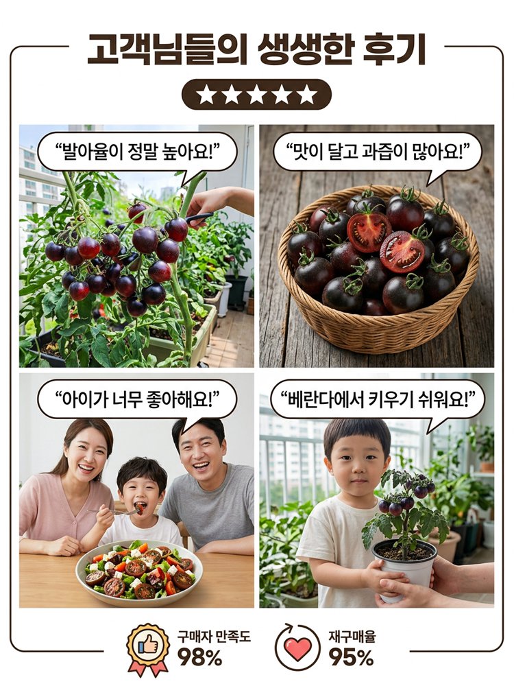 블랙 다이아몬드 토마토 씨앗
