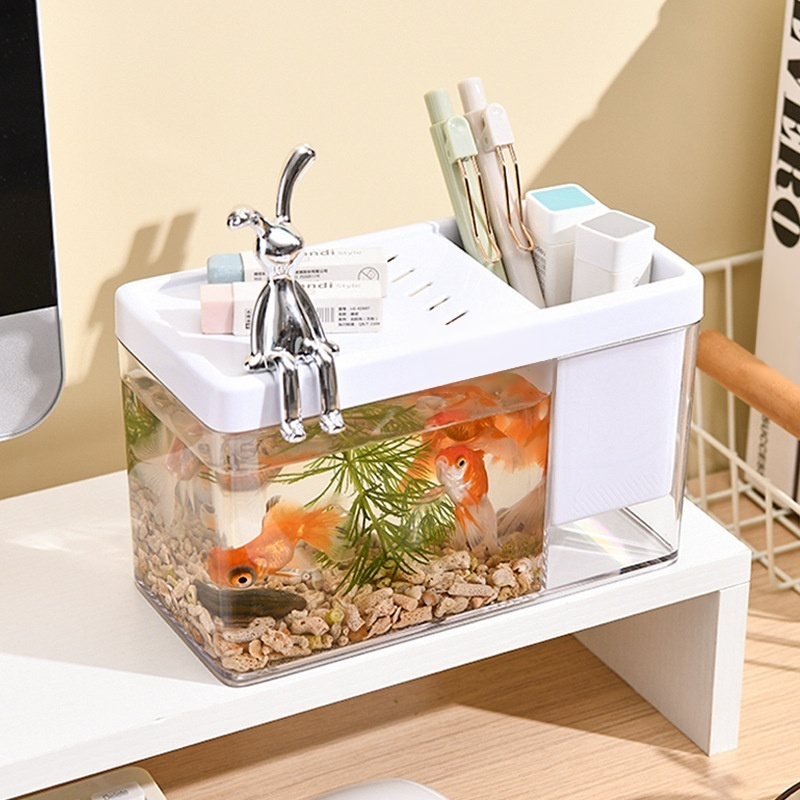 Domácí stolní ekologické malé skleněné akvárium