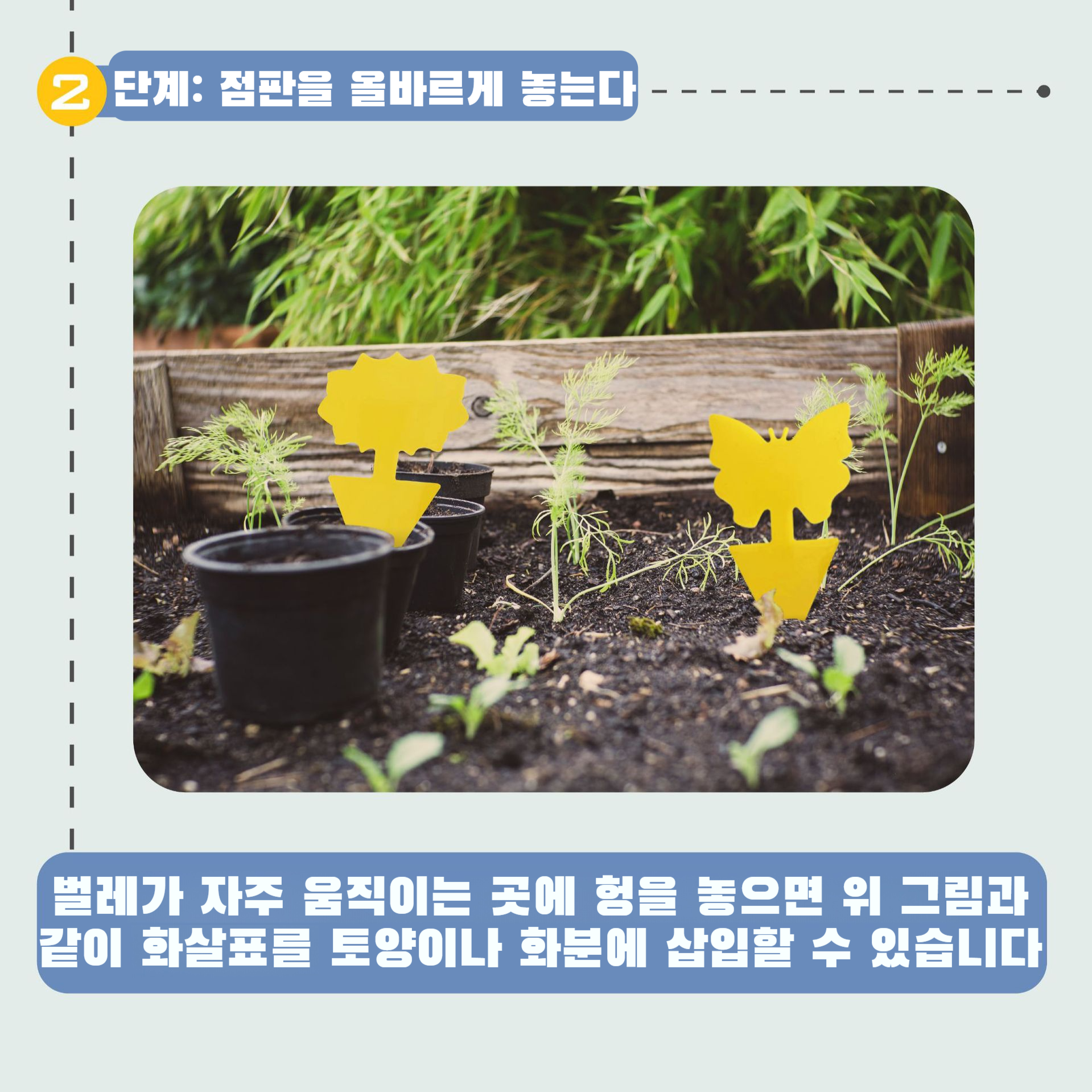 꽃형 이형 점충판 점충판 곤충유포기 곤충유포기 옐로우보드 꽃형 이형유포기