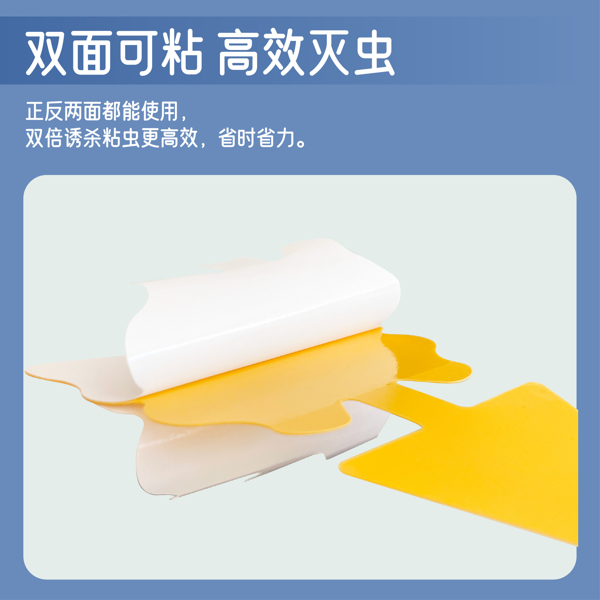 꽃형 이형 점충판 점충판 곤충유포기 곤충유포기 옐로우보드 꽃형 이형유포기