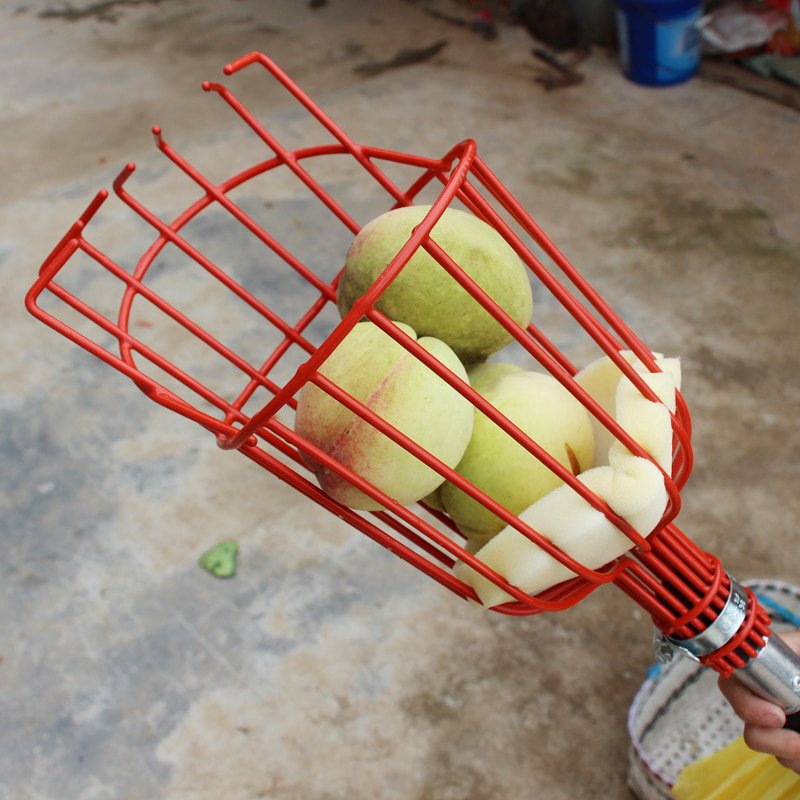 摘果器