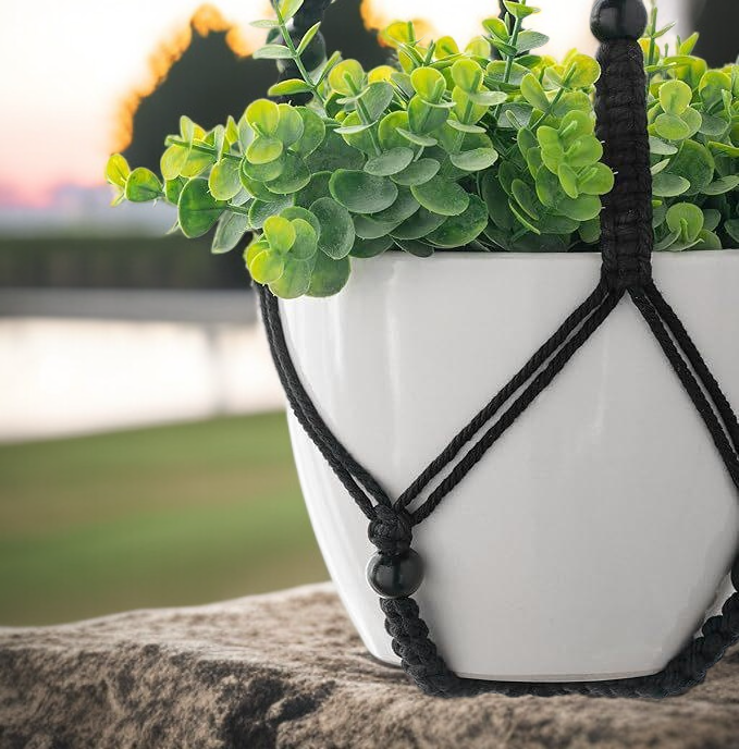 عرض مشروبات كورية شمالية في السوق