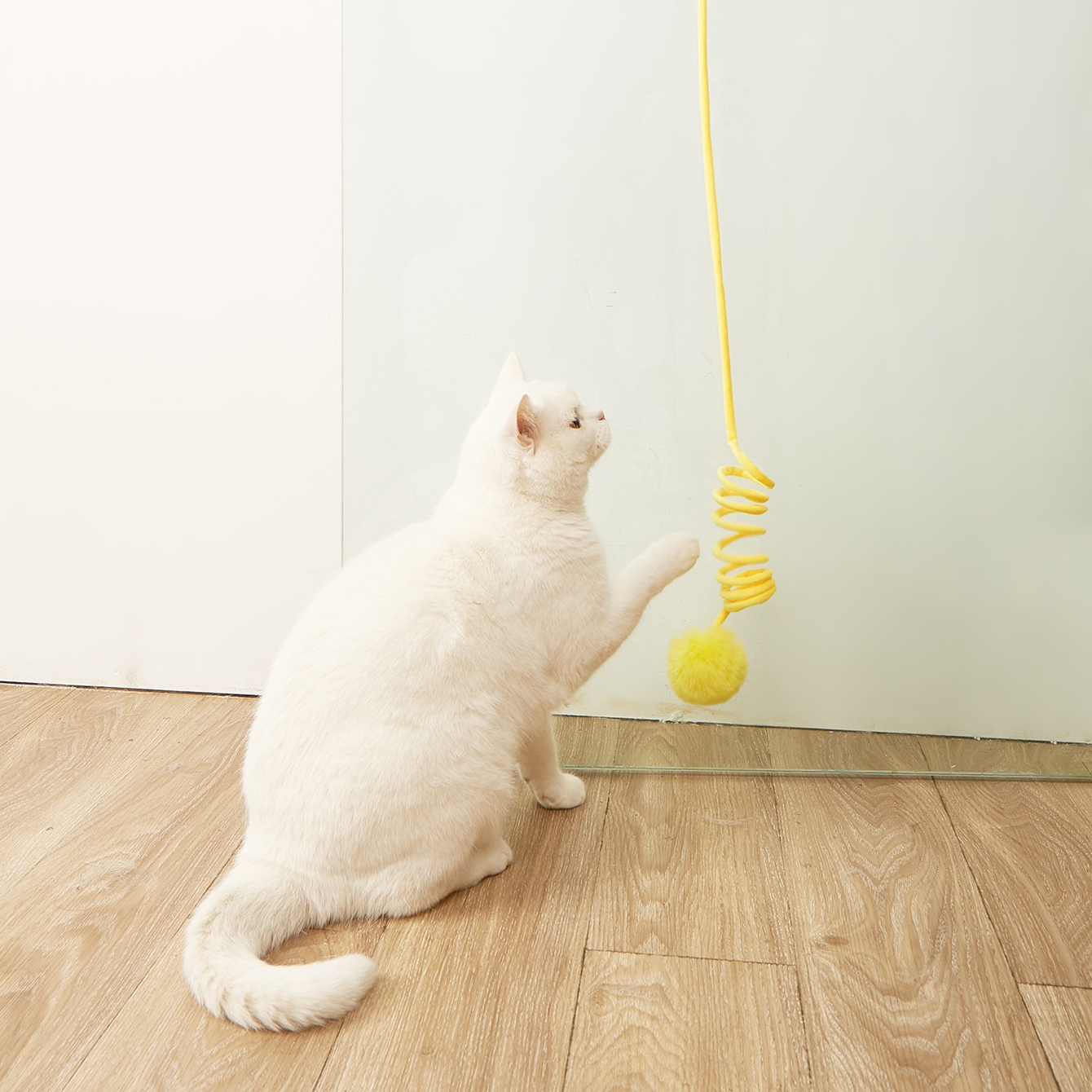 彈簧毛絨逗貓棒