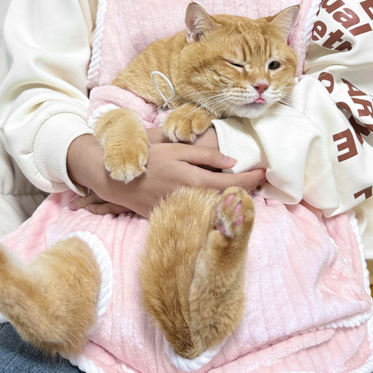 猫用抱っこエプロン 爪とぎ防止・毛が付きにくいストライプペット用エプロン