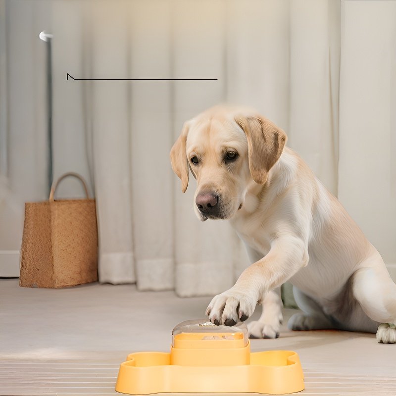 distributeur automatique de nourriture pour animaux de compagnie