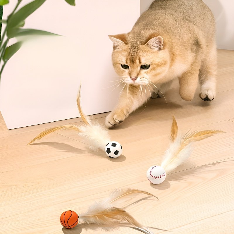 Balle à plumes rebondissante aléatoire