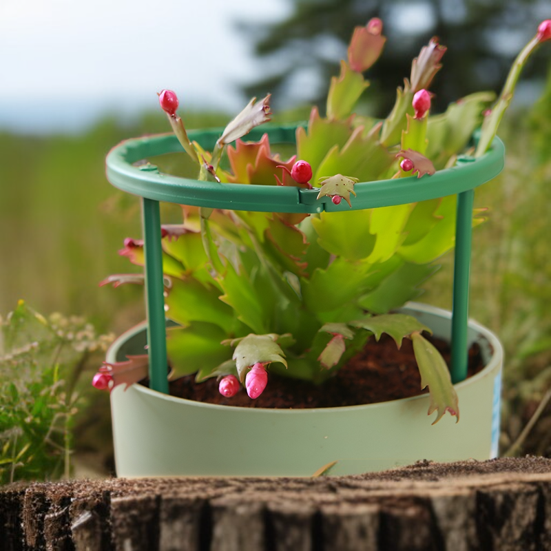  Pflanzenstütze Gartenstütze