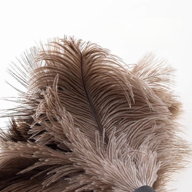 Staubwedel aus Straußenfedern