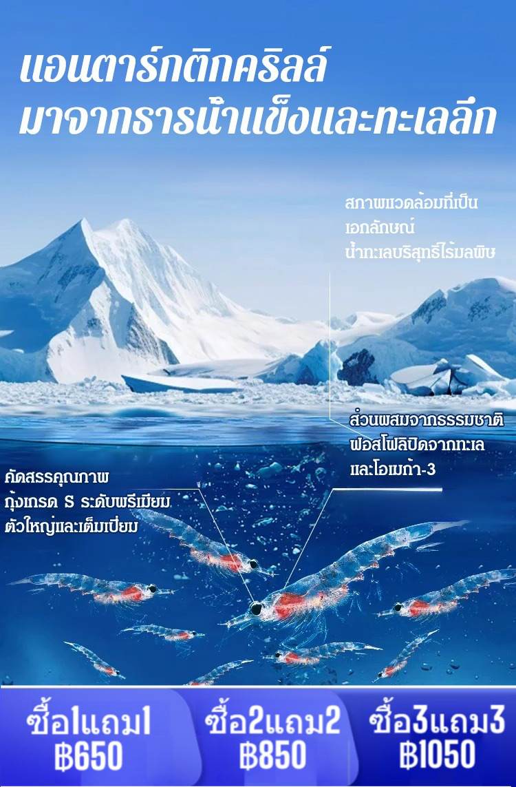 【คืนหลอดเลือดที่แข็งแรงให้คุณใน 15 วัน】แคปซูลน้ำมันคริลล์แอนตาร์กติก