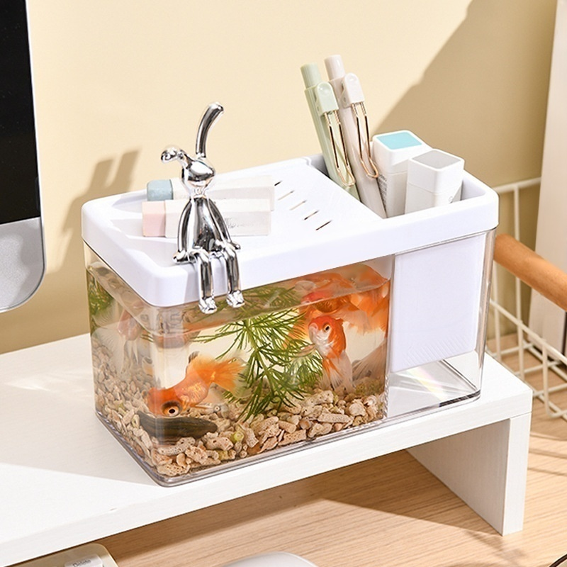 ระบบนิเวศของสัตว์ครึ่งบกครึ่งน้ำ ตู้ปลาขนาดเล็ก