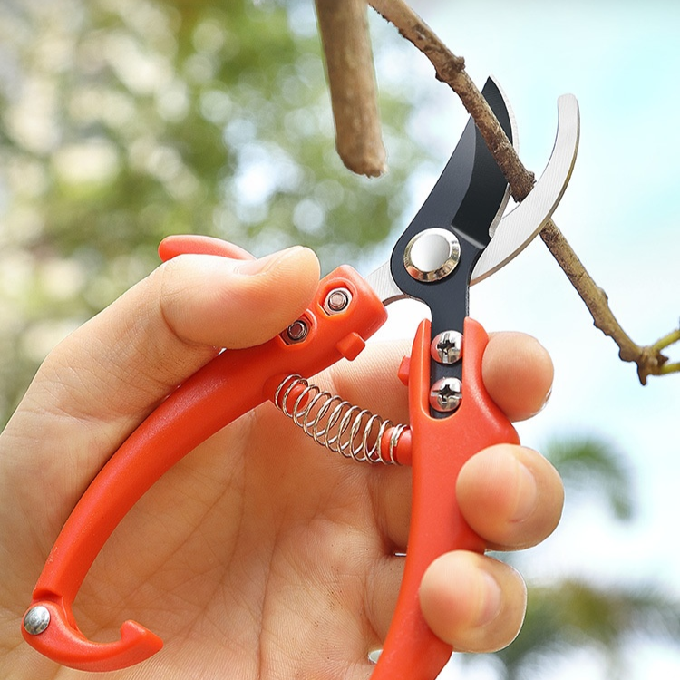 Gartenbauschere für Grünpflanzen, geeignet zum Pfropfen und Beschneiden