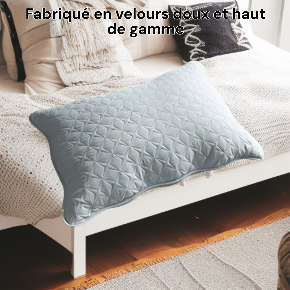 Coussin de canapé multifonction en velours