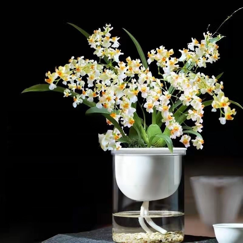 Green plants and fragrant potted flowers