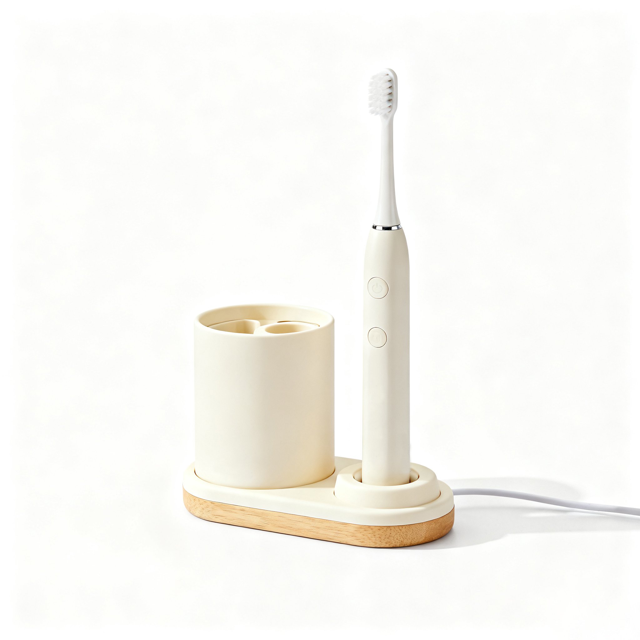 전동식 스마트 양치기