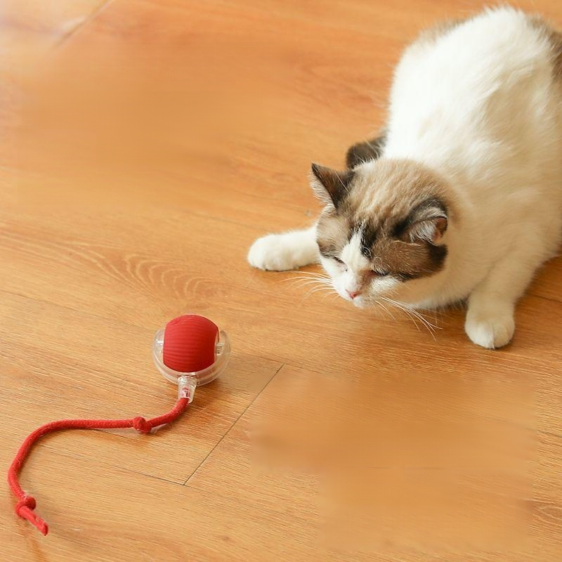 Intelligenter elektrischer Katzenball