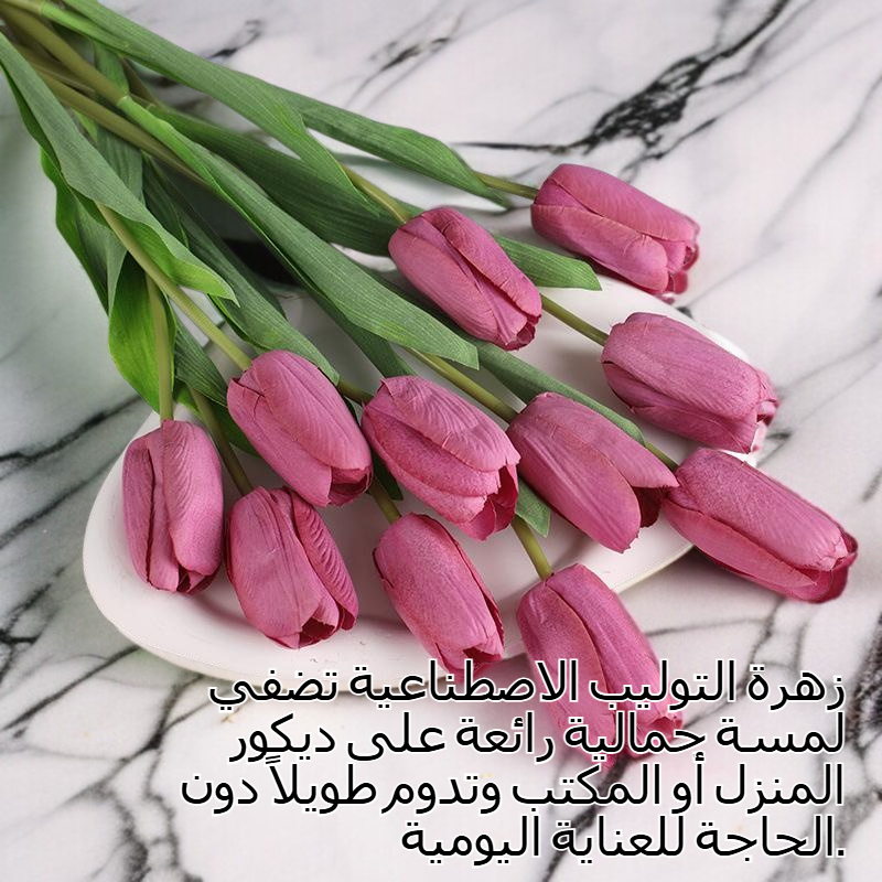 توليب زهرة اصطناعية