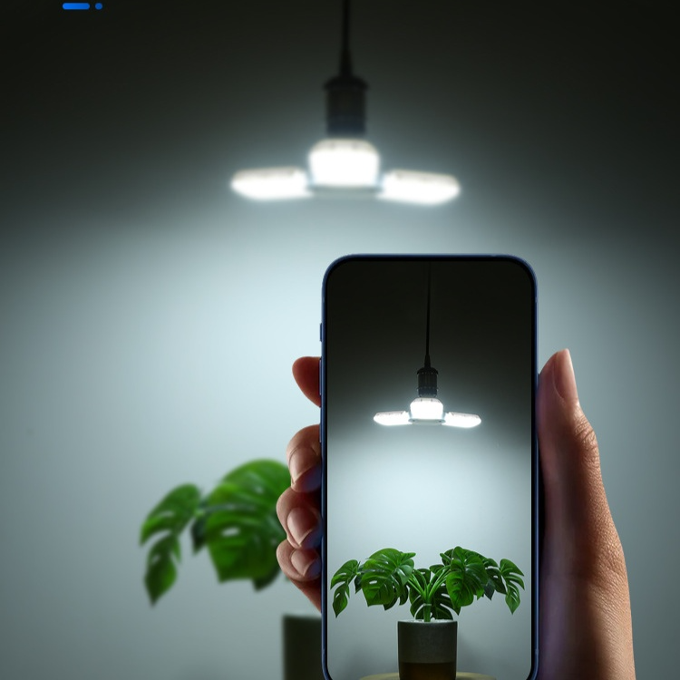 スマートセンサーファンライト