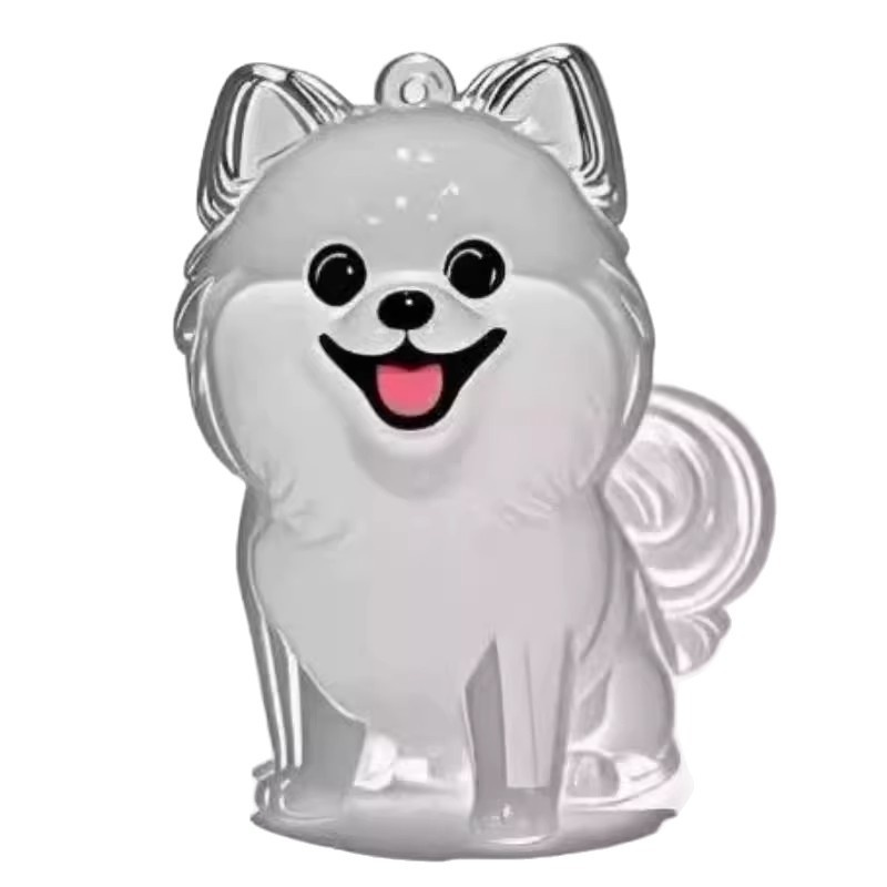 Porte-clés avec pendentif chien, boîte transparente pour poils d'animaux