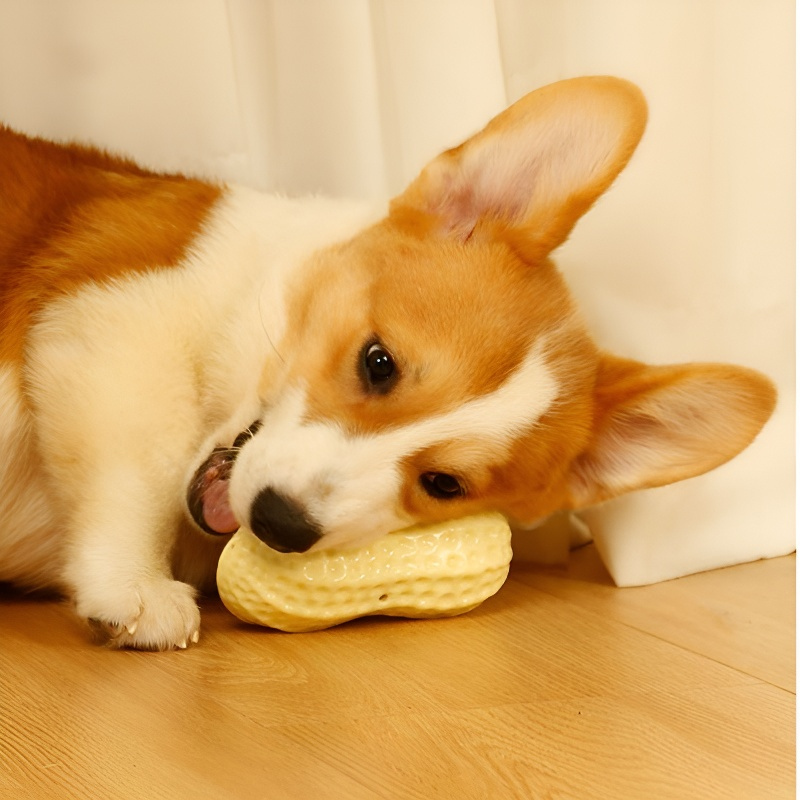 Durable Anti-Boredom Toy for Corgis and French Bulldogs