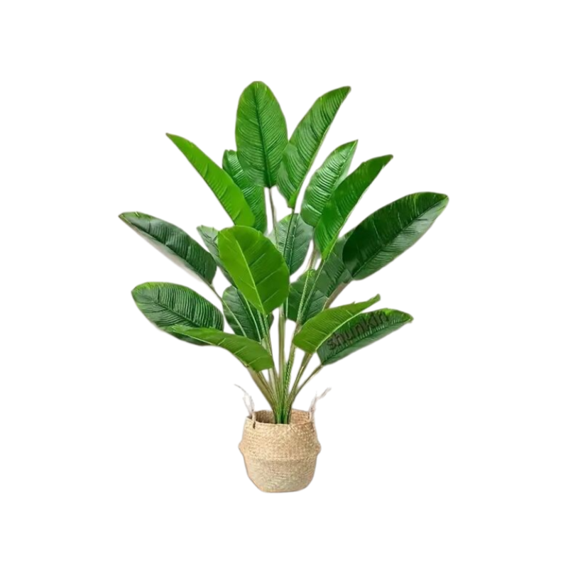 トラベラーズパーム観葉植物鉢植え