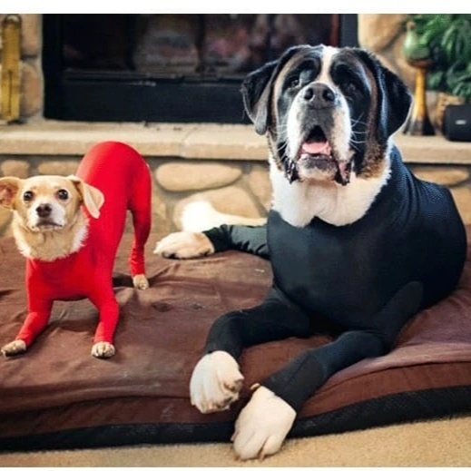 冬用防寒オールインワンペットウェア