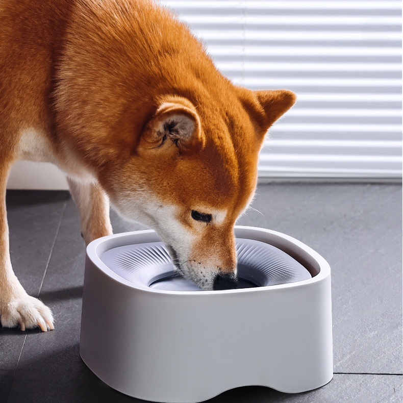 반려동물 플로팅 물그릇, 젖지 않는 고양이 식기