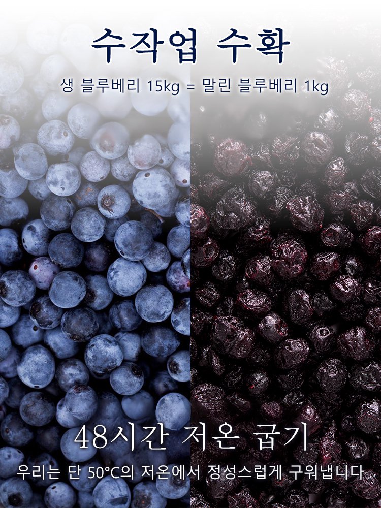 무설탕 블루베리 야생 과일 말린 것 설탕 얼룩 큰 과일 노소 누구나 말린 것