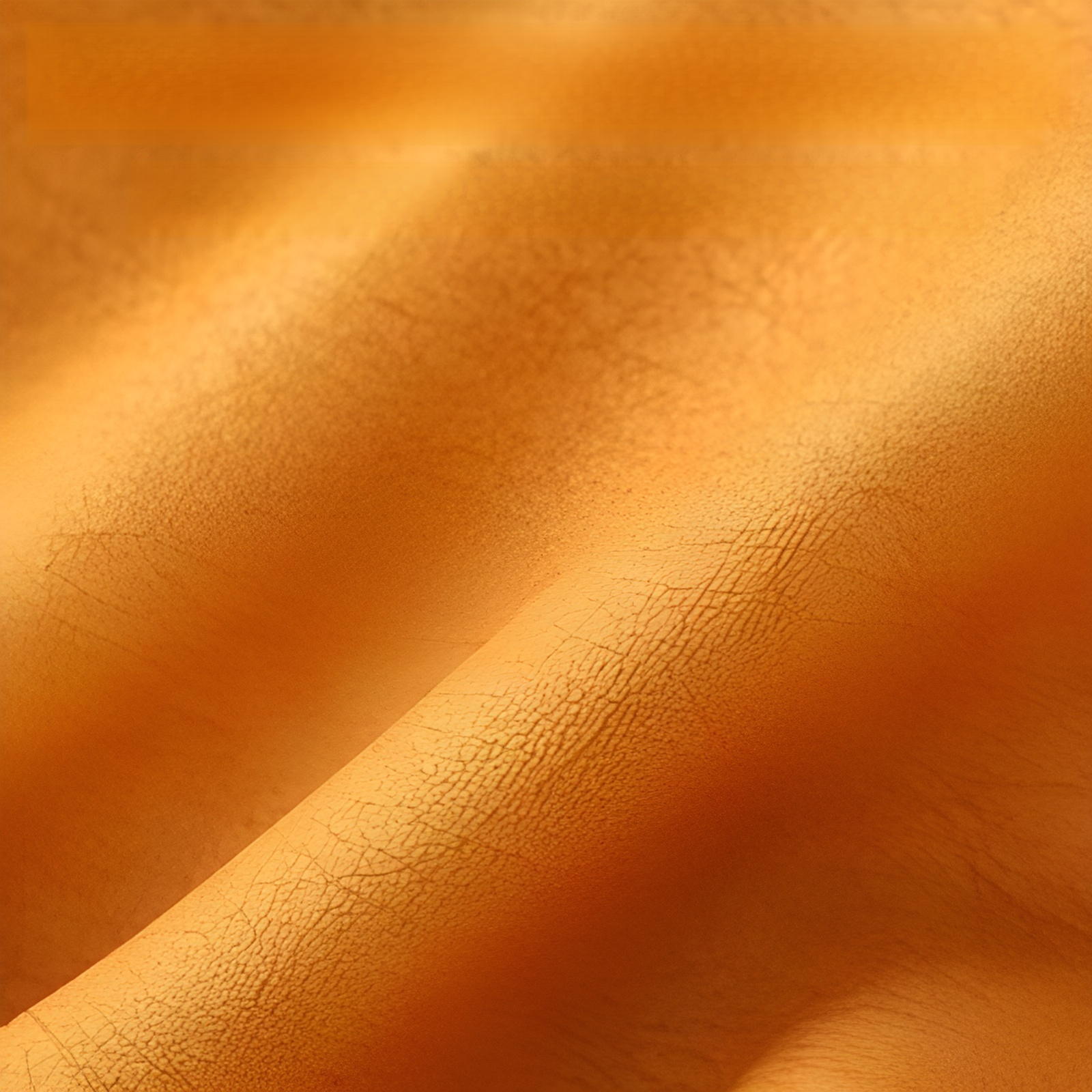 旅行必備墨鏡收納袋推薦