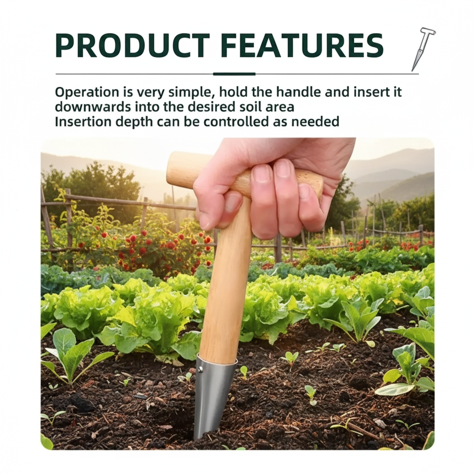 Vegetable seeder tool for professional horticulture