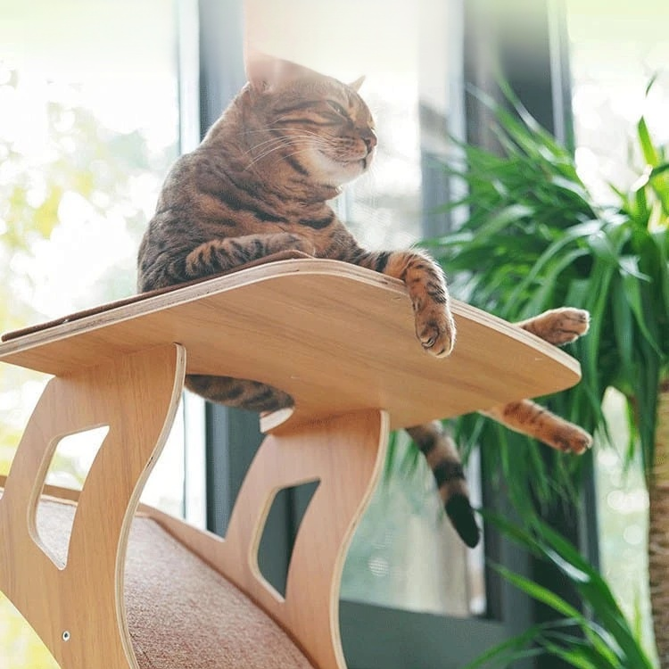 ガラス吸盤キャットツリー