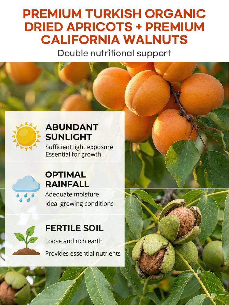 Golden Apricot Roasted Walnuts