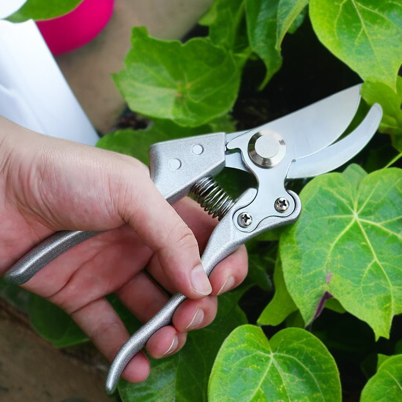 강력한 정원 가지치기 가위 건습 과일 가지 가위 원예 가위 도구 꽃 가지치기 가위 야외 가지치기 가위