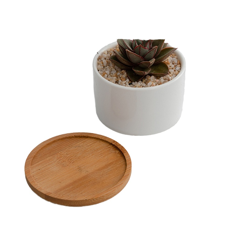 원형 보헤미안 세라믹 다육이 화분