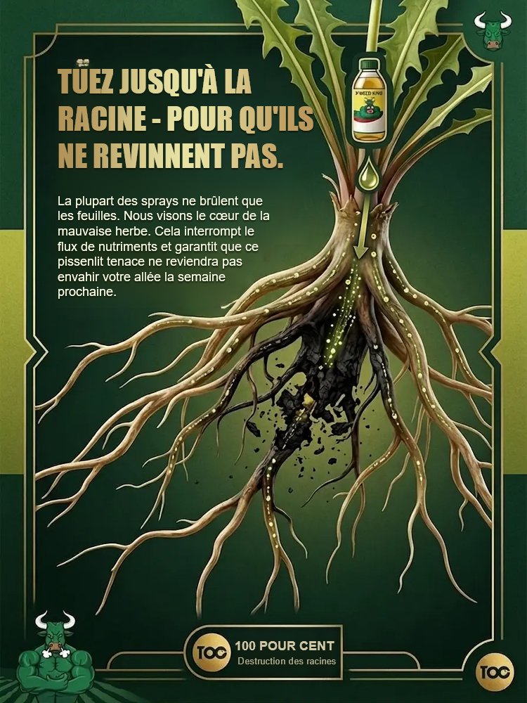 Désherbant Ultra-Concentré |Formule Française | Efficacité 5 Ans | Certifié EFSA ️