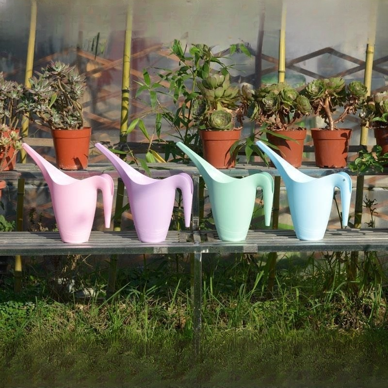 Macetas de plantas verdes domésticas para regar ollas de flores