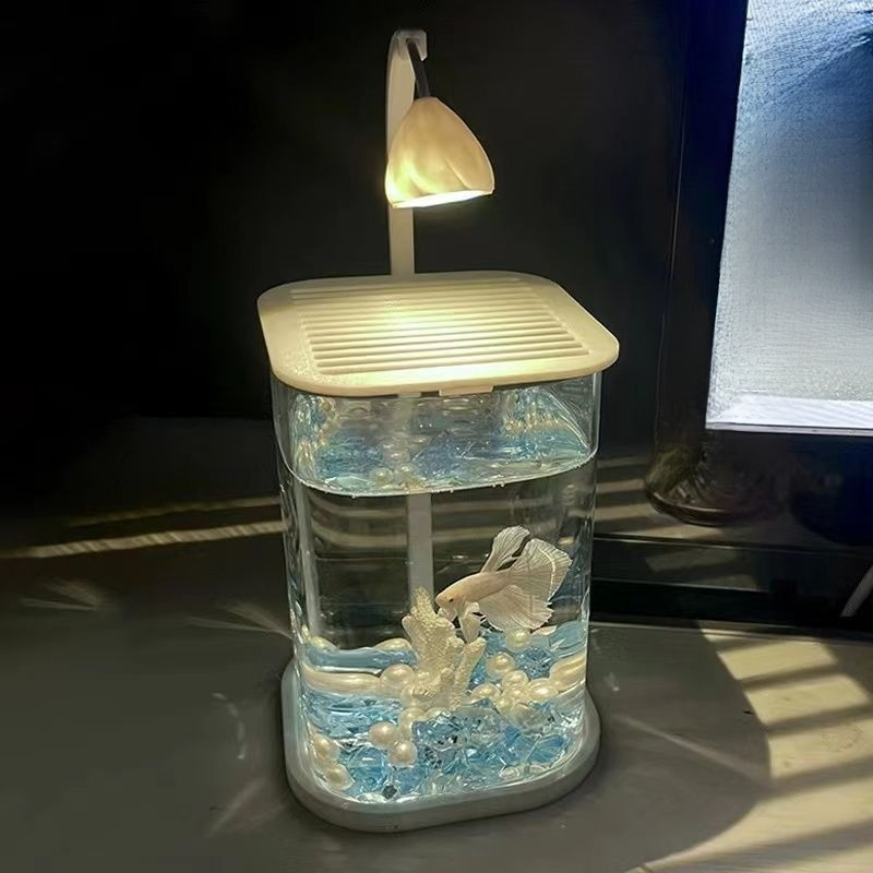 Acuario de cristal para salón, especial para peces betta, decoración moderna, fácil de mantener