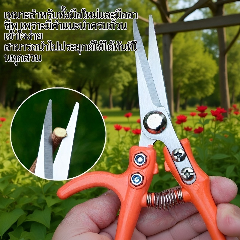 ขั้นตอนการตัดแต่งกิ่งไม้ในสวน